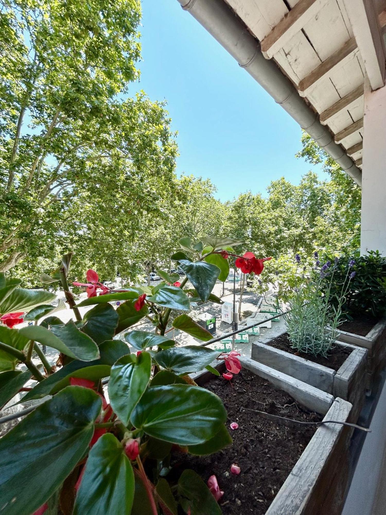 Loft Garonne - Centre Ville Immeuble Privatif Tolosa Esterno foto